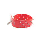 Collar Odes en Cuero con Púas Metálicas y Cadena de Paseo - Imagen 2